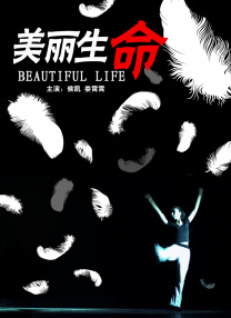 成人黄色免费影视
